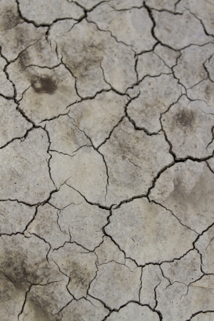 Dry cracked earth, floor の写真素材