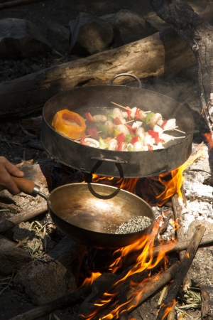 Brochette with red and green peppers, onion, chicken, mushroom on the fire の写真素材