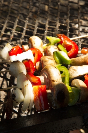 Brochette with red and green peppers, onion, chicken, mushroom on the fire の写真素材