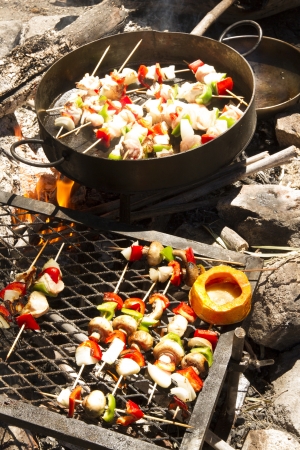 Brochette with red and green peppers, onion, chicken, mushroom on the fire の写真素材