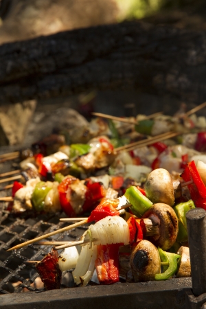 Brochette Kebab Chicken Beef Pork Onion Barbecue BBQの写真素材