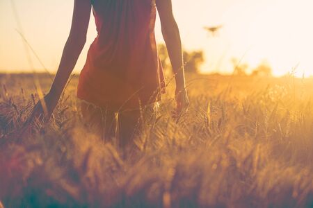 Sexy young Girl in the fields at sunset touching the grain of corn with her hands.の写真素材