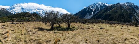 In the Mount Cook National Park on New Zealand's South Island lonely trees are guarded by the snow capped southern alps. Clouds cover the peeks though the sun covers the area in a wonderful light.の写真素材