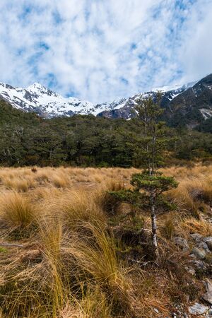 Snow covered mountains tower above the temperate rainforests of Arthur's Pass National Park. A little blue sky is visible through the white clouds.の写真素材
