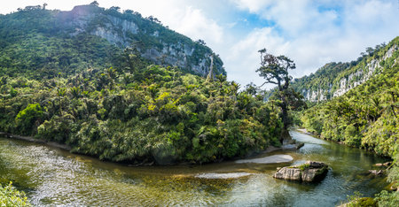 A wide river flows through a lush temperate rainforest covered with palms and ferns. Huge hills at both sides fall of steeply into the river valley.の写真素材