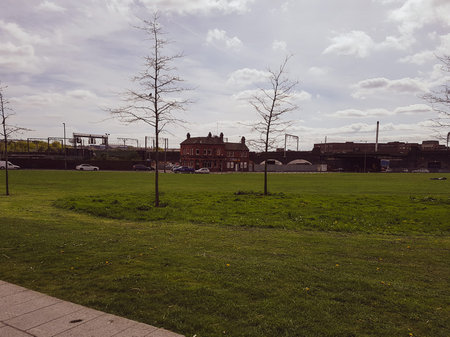 Trees on a grass fiels