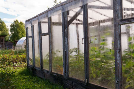 Old glass greenhouse in a garden with green plants, russian village.の写真素材