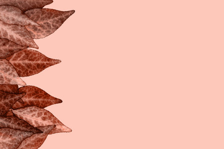 Autumn falling leaves on the left side of the frame