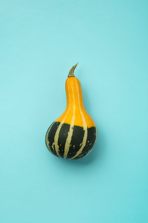 Yellow-green small striped elongated pumpkin on a blue background, still life. Flat lay composition.