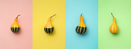 Four colorful small striped elongated pumpkins in a row on a multicolored background. Flat lay...