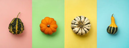 Four different small pumpkins in a row on a multicolored background. Flat lay composition, pop art...