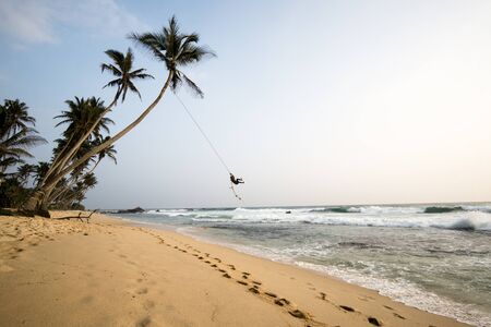 Sunset on the beach with coconut palms. Sri Lankaの写真素材