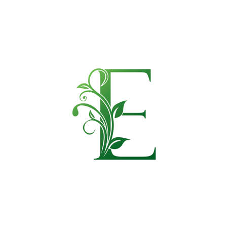 Green Ornate Floral Letter E logo Icon, Luxury alphabet font initial vector design isolated on white background color.のイラスト素材