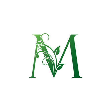 Green Ornate Floral Letter M logo Icon, Luxury alphabet font initial vector design isolated on white background color.のイラスト素材