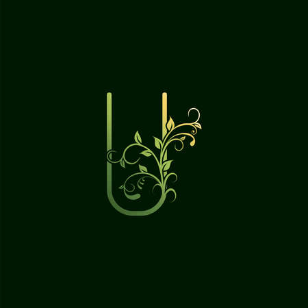 U Letter Green Floral Initial  Icon. Vector design concept ornate typographic abstract floral for decorative lettering sign or alphabet initial with swirl floral leaf elements vintage, elegant, luxury style.のイラスト素材