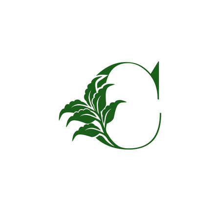 Green Letter C  with leaf element, vector template design ecology conceptのイラスト素材