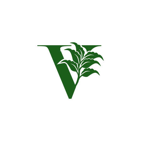 Green Letter V  with leaf element, vector template design ecology conceptのイラスト素材