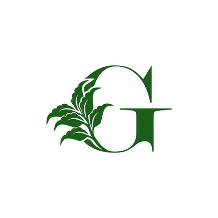 Green Letter G  with leaf element, vector template design ecology conceptのイラスト素材