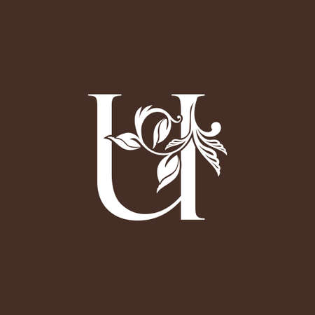 Letter U Luxury  Icon design, monogram vintage rustic, ornate style vector template design.のイラスト素材