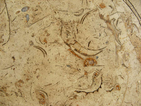 The texture of marble  Catreen, Egyptの写真素材