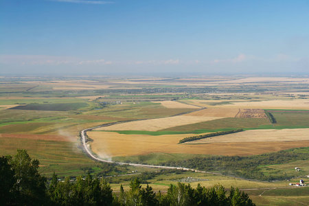 Rural landscape of the fieldの写真素材