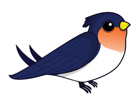 swallowのイラスト素材