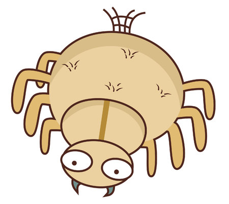 spiderのイラスト素材