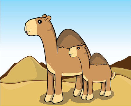 camel sceneryのイラスト素材