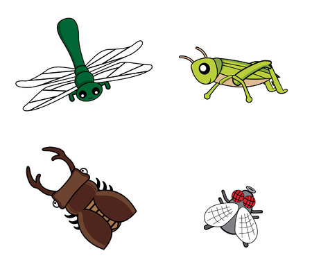 insect set fly.dragonfly.grasshopper.stag beetleのイラスト素材