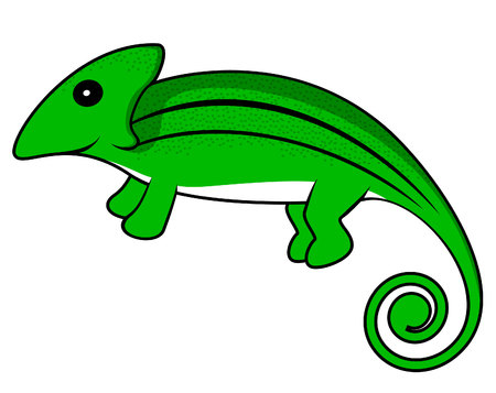 chameleonのイラスト素材