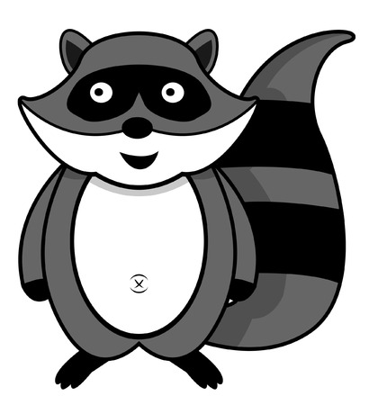raccoonのイラスト素材