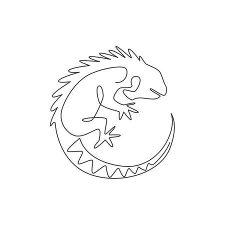 カメレオンの写真素材 イラスト素材 ストックフォトのamanaimages Plus