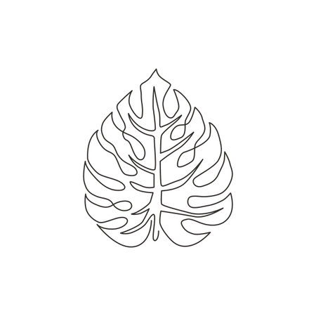 Single continuous line drawing exotic tropical leaf monstera plant. Printable decorative houseplant concept for home wall decor poster ornament. Modern one line draw design vector graphic illustrationのイラスト素材