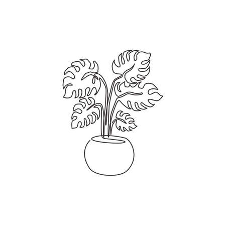 Single continuous line drawing exotic potted tropical leaf monstera plant. Printable decorative houseplant concept for home wall decor ornament. Modern one line draw design graphic vector illustrationのイラスト素材