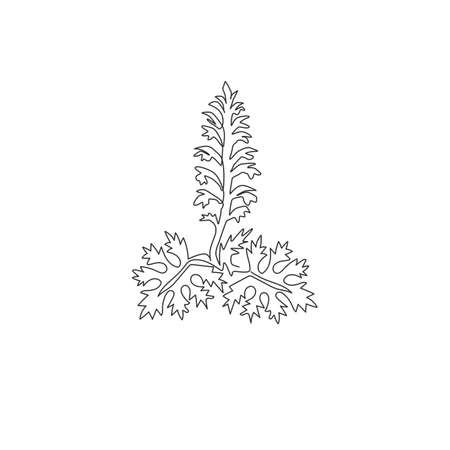 One continuous line drawing beauty fresh acanthus for home art wall decor poster print. Decorative bear's breeches flower concept for greeting card. Trendy single line draw design vector illustrationのイラスト素材