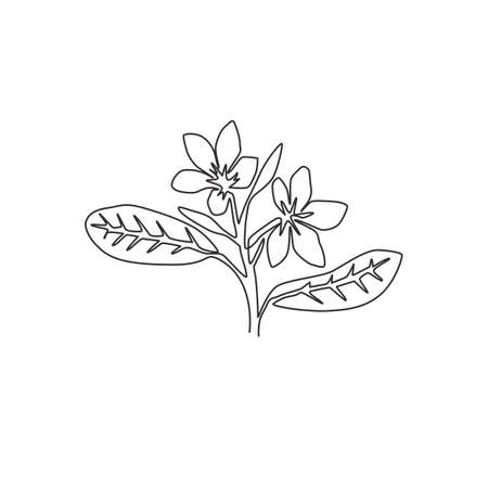 One continuous line drawing beauty fresh plumeria for wall home decor art print poster. Printable decorative frangipani flower for green park icon. Modern single line draw design vector illustrationのイラスト素材