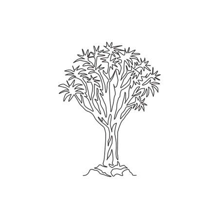 One continuous line drawing of quiver tree forest. Decorative kokerboom woud tree for national park logo. Tour and travel vacation concept. Trendy single line draw design vector graphic illustrationのイラスト素材