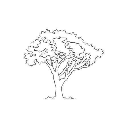 Single continuous line drawing beautiful marula tree for home decor wall art poster print. Decorative sclerocarya birrea plant for national park logo. Modern one line draw design vector illustrationのイラスト素材
