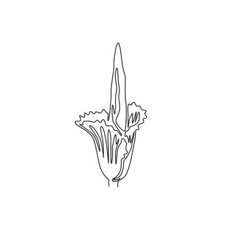 Single continuous line drawing of beauty fresh amorphophallus titanum for home wall decor poster print. Decorative titan arum flower for national park. Modern one line draw design vector illustrationのイラスト素材