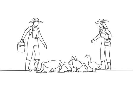 Continuous one line drawing couple farmer is feeding the geese to be healthy and produce the best eggs and meat. Farming minimalist concept. Single line draw design vector graphic illustration.のイラスト素材