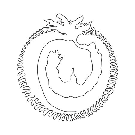 Single continuous line drawing sliced healthy organic tomato for farming logo identity. Fresh tropical vegetable concept for vegie garden icon. Swirl curl circle background style. One line draw vectorのイラスト素材