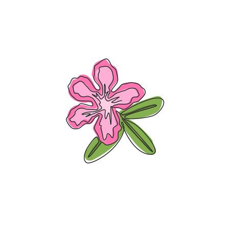 One single line drawing of fresh beauty adenium for garden logo. Printable poster decorative desert rose flowers concept home wall decor. Modern continuous line draw design vector graphic illustrationのイラスト素材