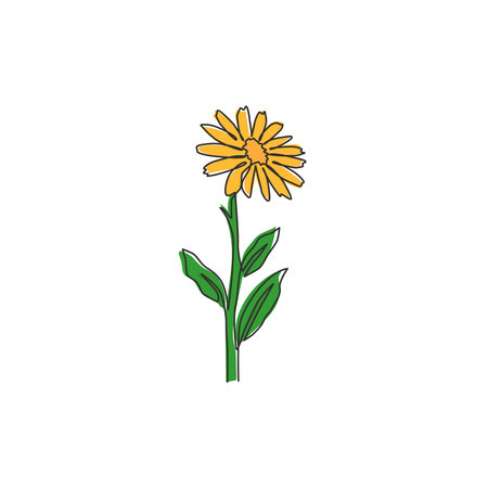 One single line drawing of beauty fresh calendula for home wall decor poster. Printable decorative marigold flower for greeting card ornament. Modern continuous line draw design vector illustrationのイラスト素材