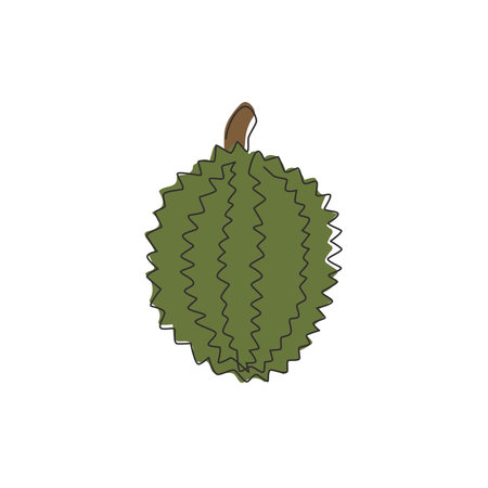 One continuous line drawing whole healthy organic durian for orchard logo identity. Fresh exotic...