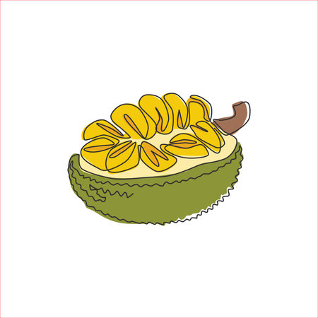One single line drawing of half slice healthy organic jackfruit for orchard logo identity. Fresh tropical fruitage concept for fruit garden icon. Modern continuous line draw design vector illustrationのイラスト素材