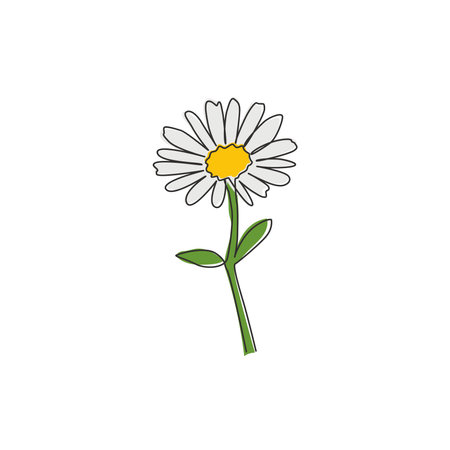Single continuous line drawing of beauty fresh bruisewort. Printable decorative common daisy flower concept for home wall decor poster art. Modern one line draw design graphic vector illustrationのイラスト素材