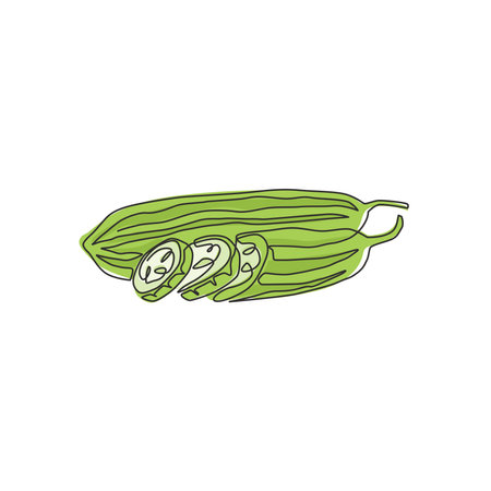 Single continuous line drawing of whole and sliced healthy organic sponge gourd for logo identity. Fresh Vietnamese luffa concept for vegetable icon. Modern one line draw design vector illustrationのイラスト素材