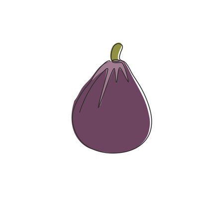 One continuous line drawing whole healthy organic figs for orchard logo identity. Fresh exotic...