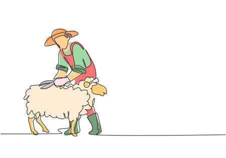Continuous one line drawing young male farmer was carefully shearing the fleece using scissors. Successful farming challenge minimalist concept. Single line draw design vector graphic illustration.のイラスト素材