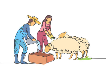 Continuous one line drawing couple farmer are feeding the sheep so that the sheep will be healthy and produce the best meat. Minimalist concept. Single line draw design vector graphic illustration.のイラスト素材